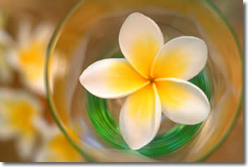 Refresh and relax with soothing facials and manicures at Sheboygan's luxurious Tangerine Salon.